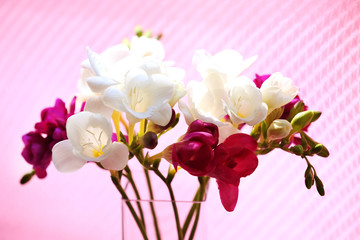 Naklejka na ściany i meble Beautiful spring flowers on pink background