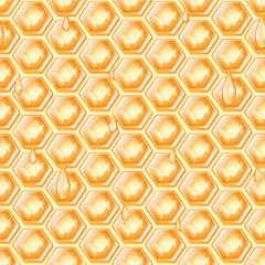honey honeycomb