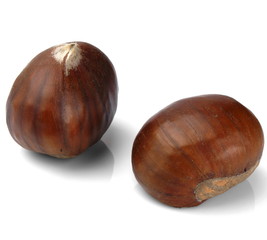 Studio shot of two chestnuts on white background