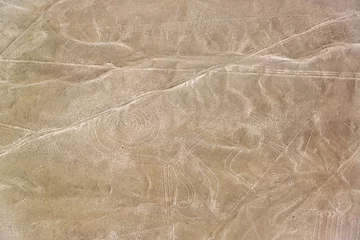 Foto op Canvas Nazca Lines Monkey Closeup © jkraft5