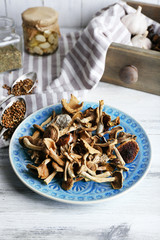 Dried mushrooms in plate on wooden background