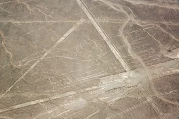 Rolgordijnen Nazca Lines Parrot © jkraft5