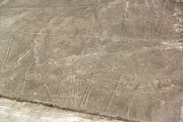 Nazca Lines Pelican