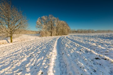 Fototapeta na wymiar Beautiful winter field landscape.