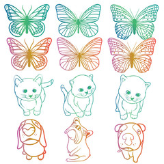 Animals Rainbow