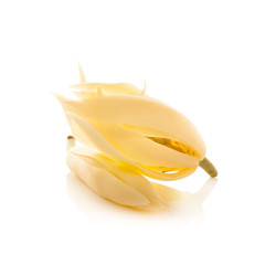 White Champaka flower isolated on white background