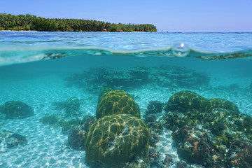 Above and below sea surface with corals and island