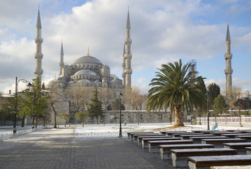 Fototapete bei efototapeten.de bestellen   