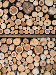 Wood logs