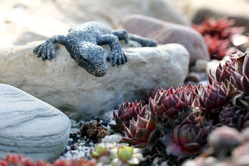 Skulptur Lurch, Echse im Steingarten, Sonne