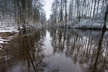 Winter river in forest