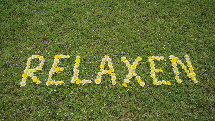 Wort RELAXEN aus Blüten im Gras