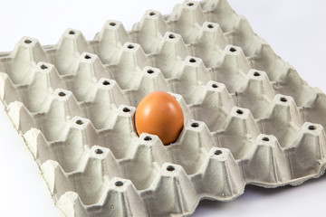 Fototapeta premium Egg in the package