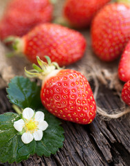 Frische Erdbeeren