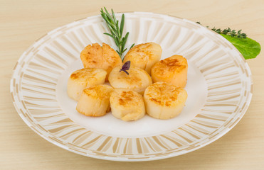 Grilled scallops