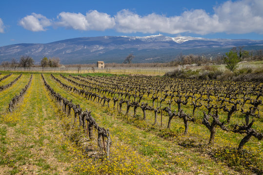 C&ocirc;tes du Ventoux