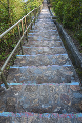 Stairway in the jungle