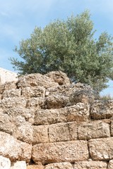 Fototapeta premium athens