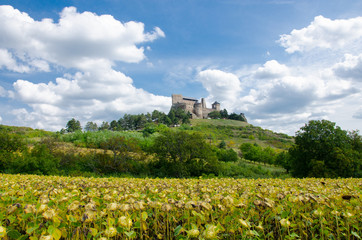 Fototapeta na wymiar 13th century Boldogko castle in hungary