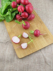 Frische Radieschen