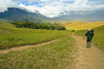 Fototapeta na wymiar Tourist walking the trail near Mt Roraima