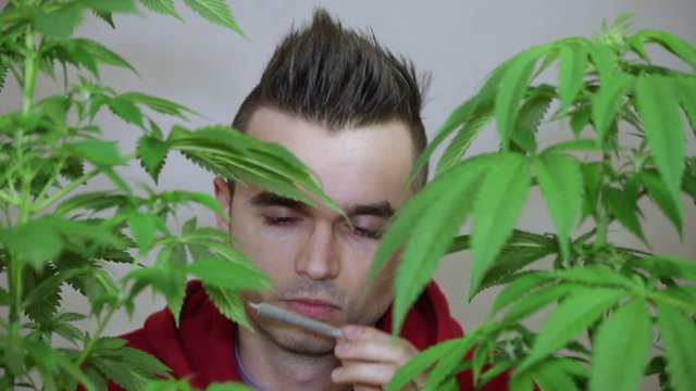 Man smelling Marijuana joint