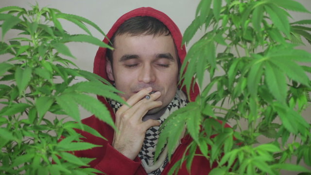 Happy man in hoodie enjoying Marijuana joint.