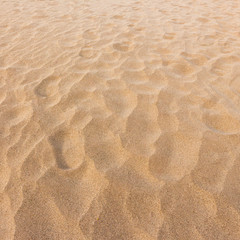 Sand texture and background