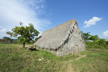 Vinales Cuba Traditional Tobacco Barn
