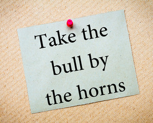 Take The Bull By The Horns