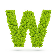 3d green leaves alphabet W