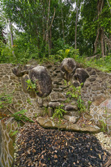 Dragon monument in forest Koh Phangan, Thiland