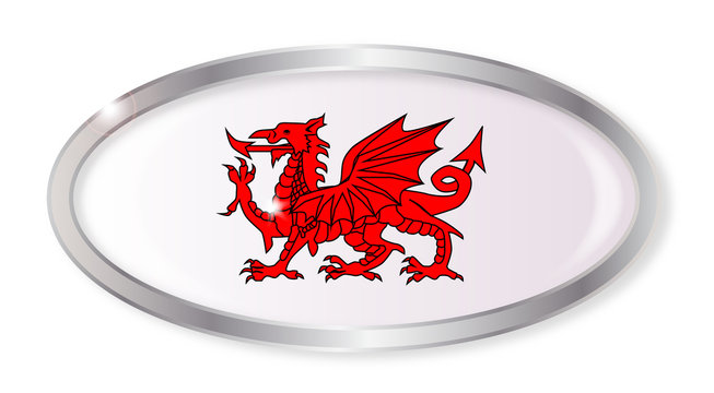 Welsh Dragon Oval Button