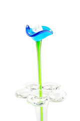 Flower made of glass in red and blue color in vase on white back
