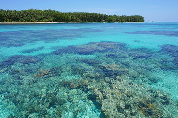 Turquoise water with reef below surface and island