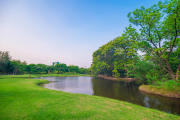 Obraz premium Green lawn in park and recreation area