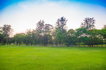 Fototapeta na wymiar Green field city park, Beautiful lawn