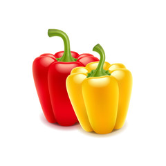 Sweet pepper isolated on white vector