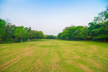 Green field city park, Beautiful lawn