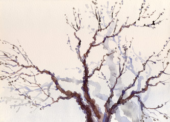 Watercolor landscape. The bare branches of a tree