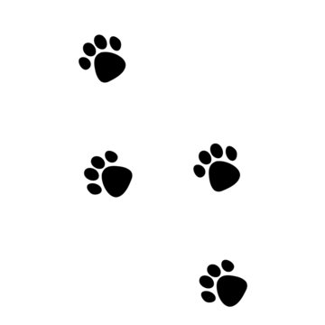 dog  footprint