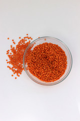 Red lentil