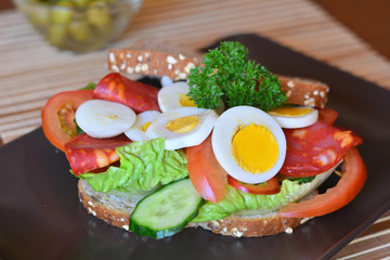 Fresh and healthy sandwich with salami and vegetables on a plate