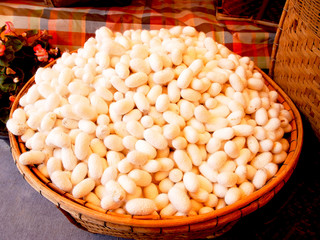 Silk cocoon