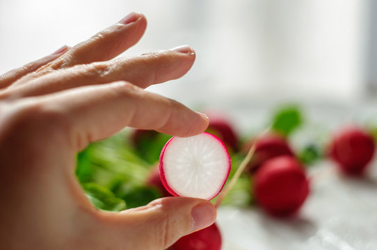 Round piece of radish in hand on radishes background