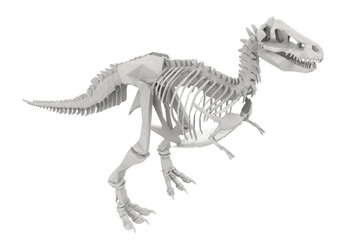 Dinosaur Skeleton isolated on white © kurtcan