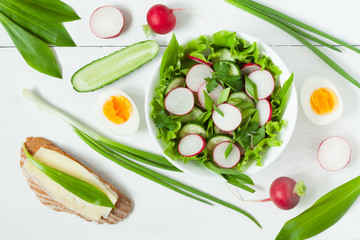 Spring organic salad with radish, green salad, cucumber, onion