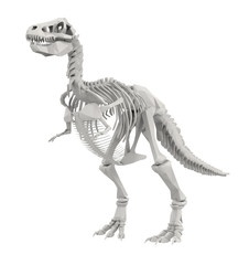 Dinosaur Skeleton isolated on white © kurtcan