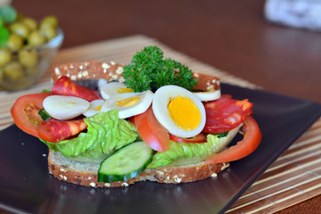 Fresh and healthy sandwich with salami and vegetables on a plate