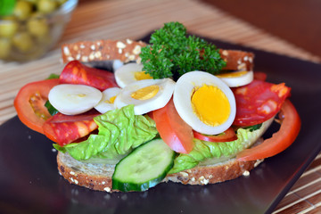 Fresh and healthy sandwich with salami and vegetables on a plate